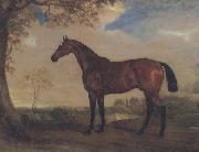 John Ferneley, Portrait of a Hunter Mare,The Property of Robert shafto of whitworth park,durham